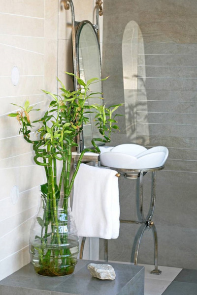 Decorar a casa de banho com plantas naturais