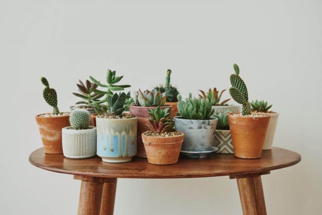 5 tipos de vasos decorativos para alegrar a sua casa