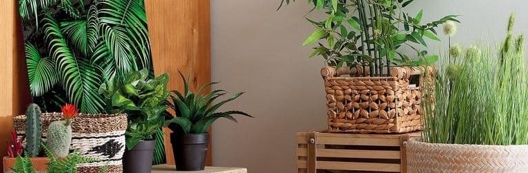 Rattan: o que é e como usar na decoração
