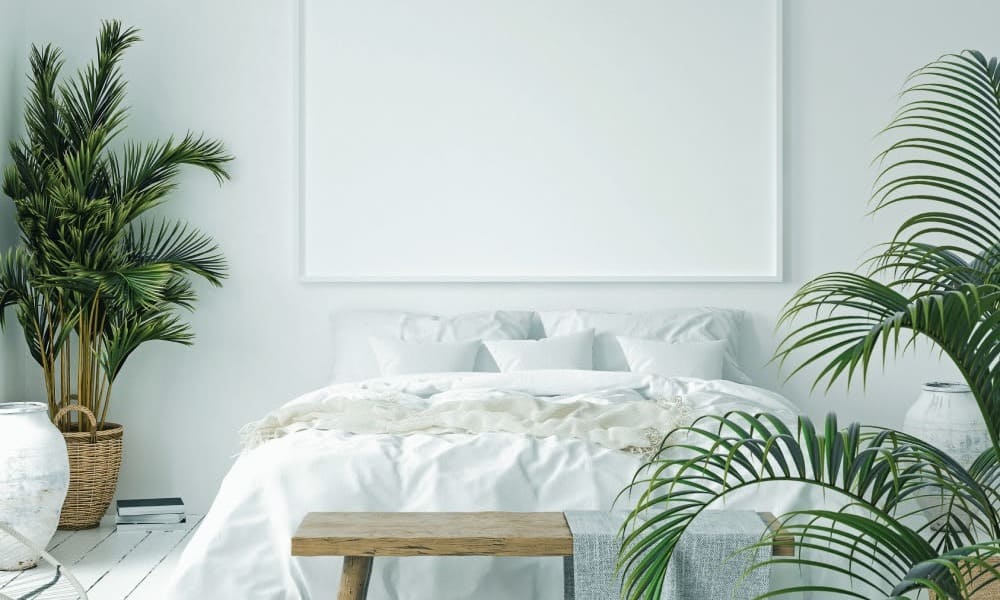 decoração zen